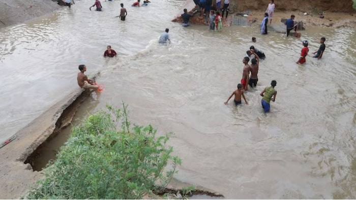 एक अन्य किसान बख्शीश सिंह ने बताया कि नहर के पास लगे सैकड़ों पेड़ जो सूख चुके हैं. (सांकेतिक फोटो)