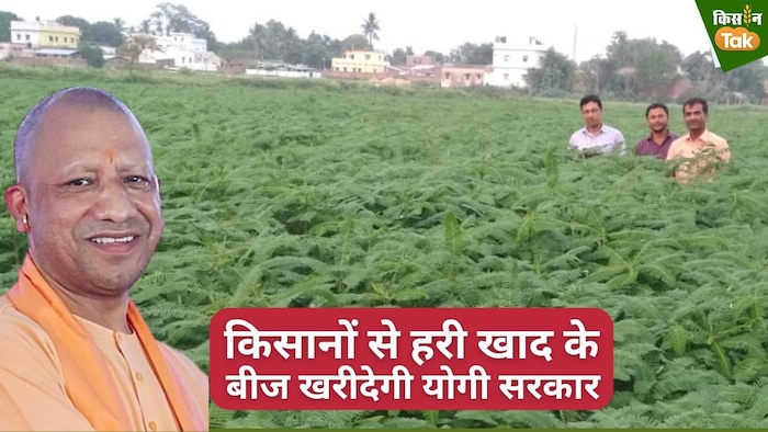 योगी सरकार तय दाम पर किसानों से ढेंचा के बीज खरीदेगी.