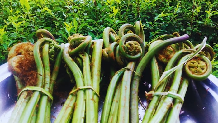 सेहत से भरपूर है ये सब्जी