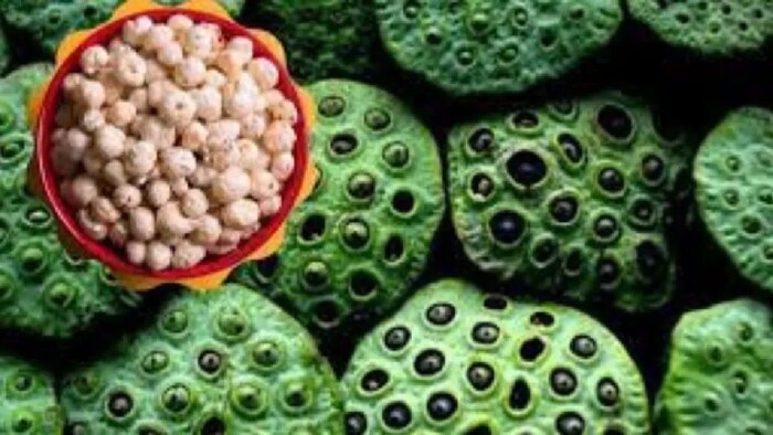 केंद्र ने मखाना पर एमएसपी की मांग पर विचार करने को कहा है.