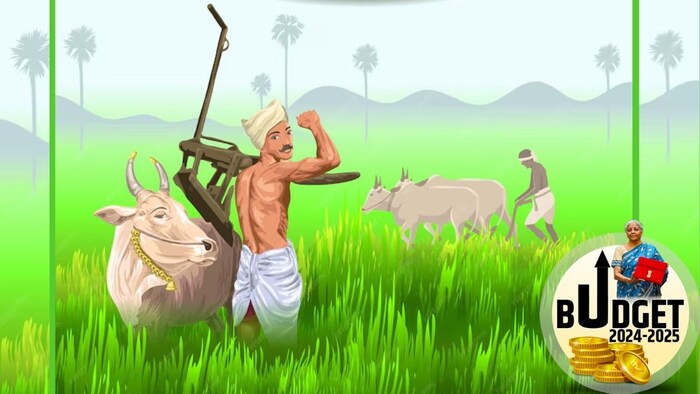 सरकार का फोकस ग्रामीण इकॉनमी को बढ़ावा देने पर है जिससे देश की विकास दर में भी तेजी लाई जा सके.