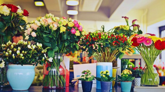 पूसा नारंगी