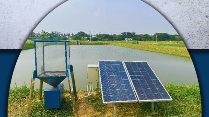 सोलर एनर्जी से खिलाएं मछलियों को दाना