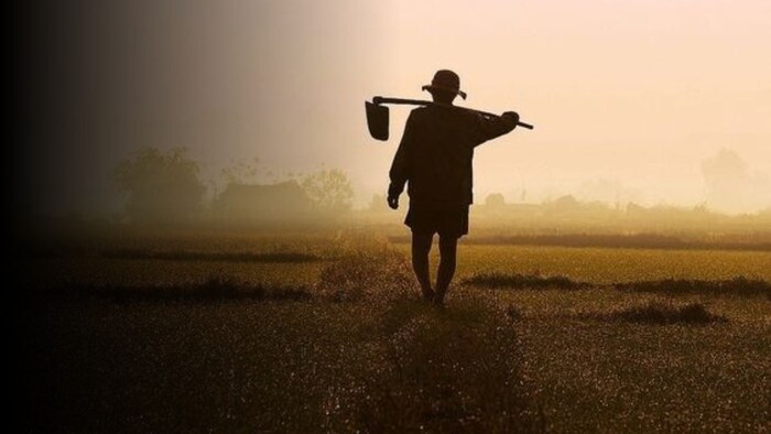 जुलाई में निपटा लें खेती से जुड़े काम