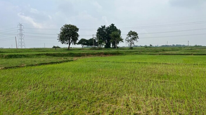 दक्षिण कश्मीर में बारिश की कमी के कारण सूख रहे खेत (सांकेतिक तस्वीर)