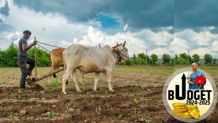सरकार ग्रामीण विकास के लिए कृषि सेक्टर को दिया जाने वाला बजट बढ़ा सकती है.
