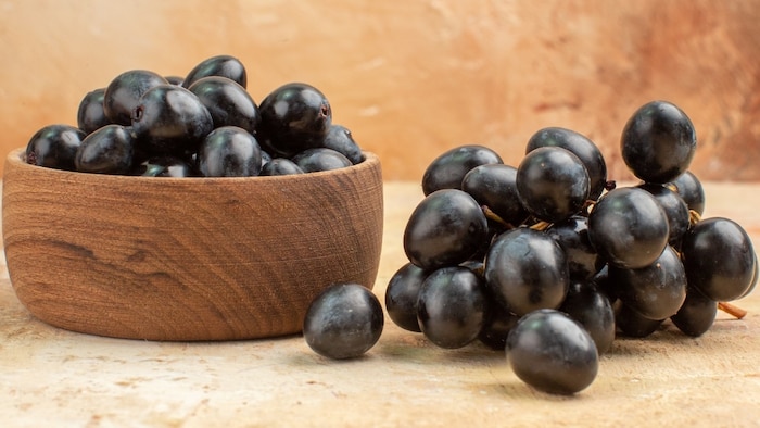 जामुन ने मालामाल हो रहे पंजाब के किसान