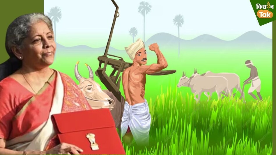 Budget 2024: उपज बढ़ाने के लिए जलवायु अनुकूल 32 फसलें जारी होंगी, बागवानी के लिए 109 वैराइटी लॉन्च होंगी Budget 2024: उपज बढ़ाने के लिए जलवायु अनुकूल 32 फसलें जारी होंगी, बागवानी के लिए 109 वैराइटी लॉन्च होंगी