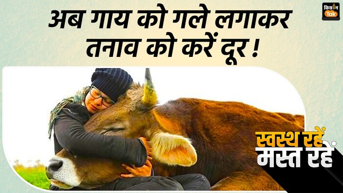 क्या है काऊ कडलिंग थेरेपी?