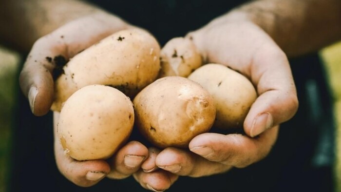 The customer tried to get the vendor to lower the price of potatoes. (Representative image)