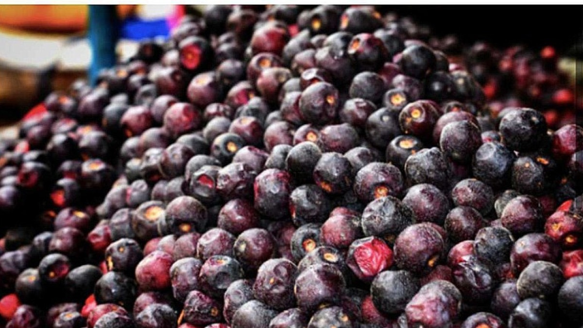 पूर्वांचल के पनियाला को मिलेगा पुनर्जीवन (File Photo)