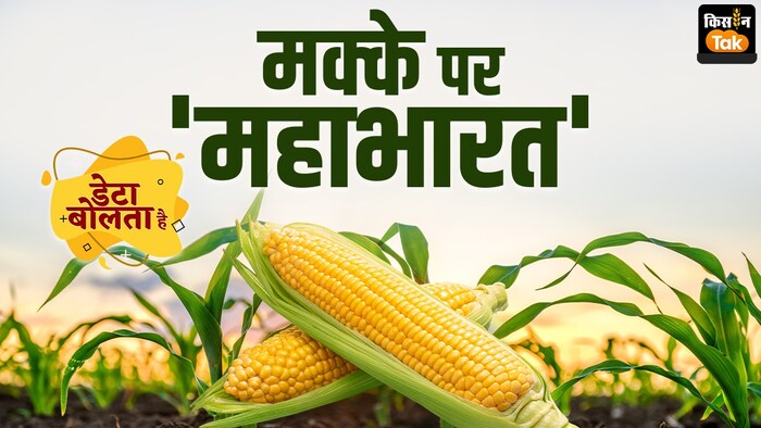 कृषि मंत्रालय के अनुसार देश में मक्के की कितनी है कीमत?