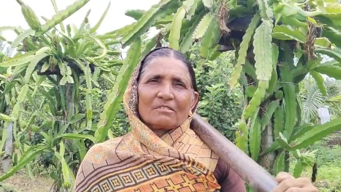 एक ही साथ इतने फलों की कर रही खेती