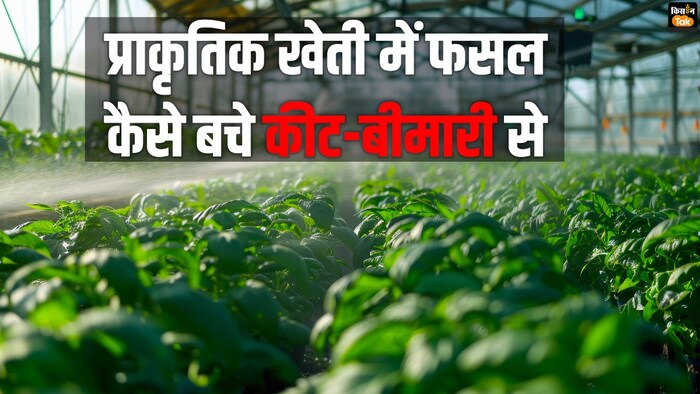 प्राकृतिक खेती