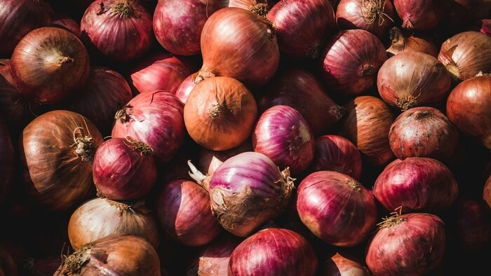 सरकार के रवैये से दुखी नासिक के प्याज किसान