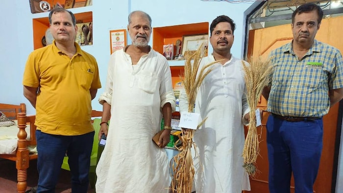 श्रीप्रकाश रघुवंशी ने दान की गेहूं की 31 प्रजातियां