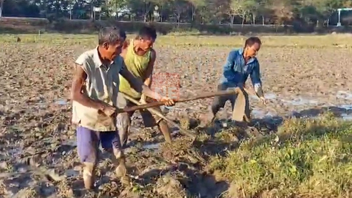 बिहार में मॉनसून की आंख मिचौली से सूखे की स्थिति, राज्‍य सरकार ने किसानों के लिए किया डीजल सब्सिडी का ऐलान 