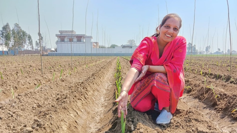 प्राकृतिक खेती में सफलता की कहानी लिख रहीं अमरोहा की महिला किसान हितेश, सालाना कर रहीं 15 लाख की इनकम प्राकृतिक खेती में सफलता की कहानी लिख रहीं अमरोहा की महिला किसान हितेश, सालाना कर रहीं 15 लाख की इनकम