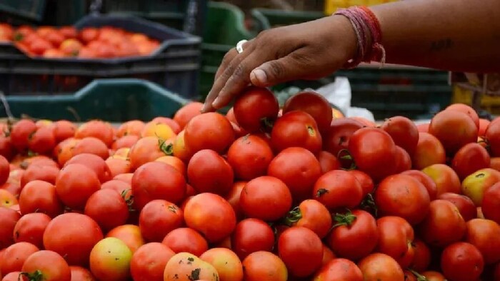 दिल्ली एनसीआर की 16 जगहों पर मोबाइल वैन के जरिए सस्ती दर पर टमाटर बिक्री शुरू.