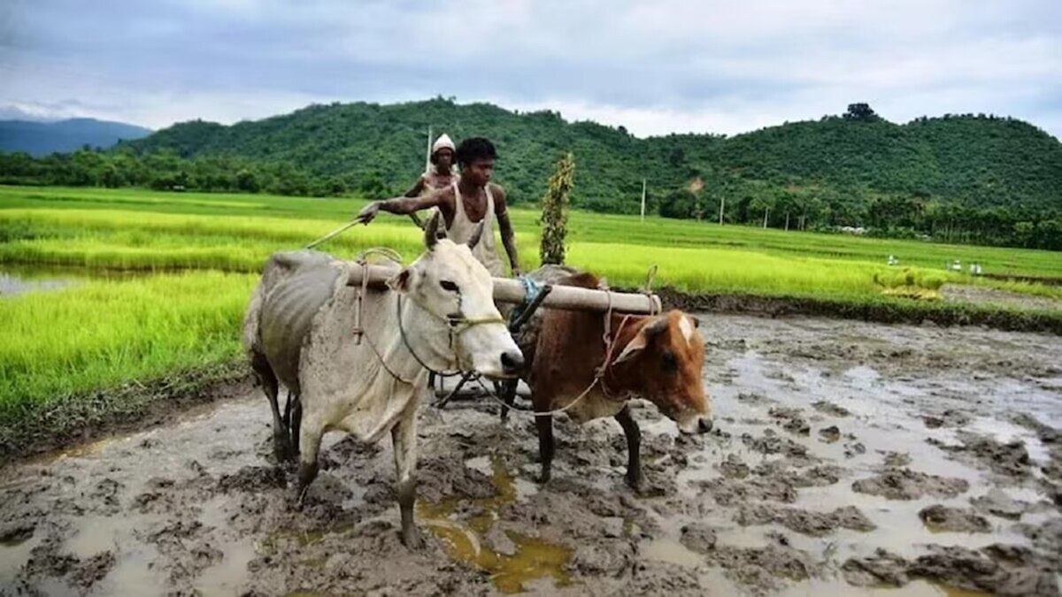 ओडिशा सीएम किसान योजना की बेनिफिशियरी लिस्ट में ऐसे चेक करें नाम