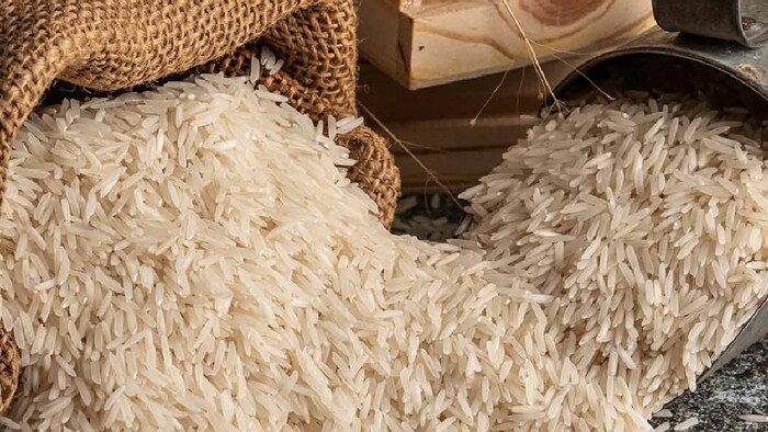 भारत बासमती चावल का सबसे बड़ा उत्पादक और निर्यातक है.