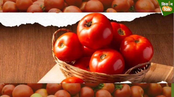 मुंबई में कम दर पर टमाटर आज से बिक्री शुरू की गई है.