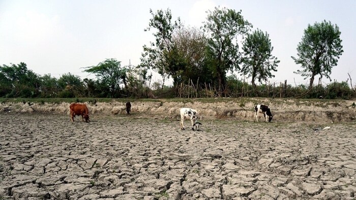 जलवायु परिवर्तन से खेती पर बढ़ा खतरा.