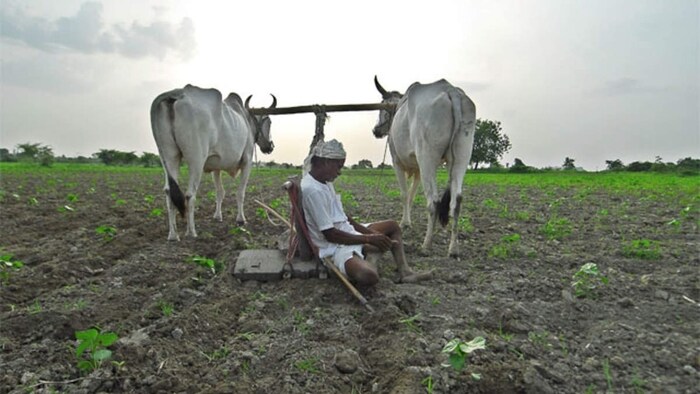 तेलंगाना के किसान