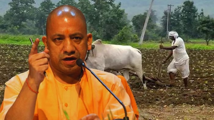 उमस भरी गर्मी और खेती-किसानी के मौसम में जारी रखें पर्याप्त बिजली आपूर्ति: CM योगी