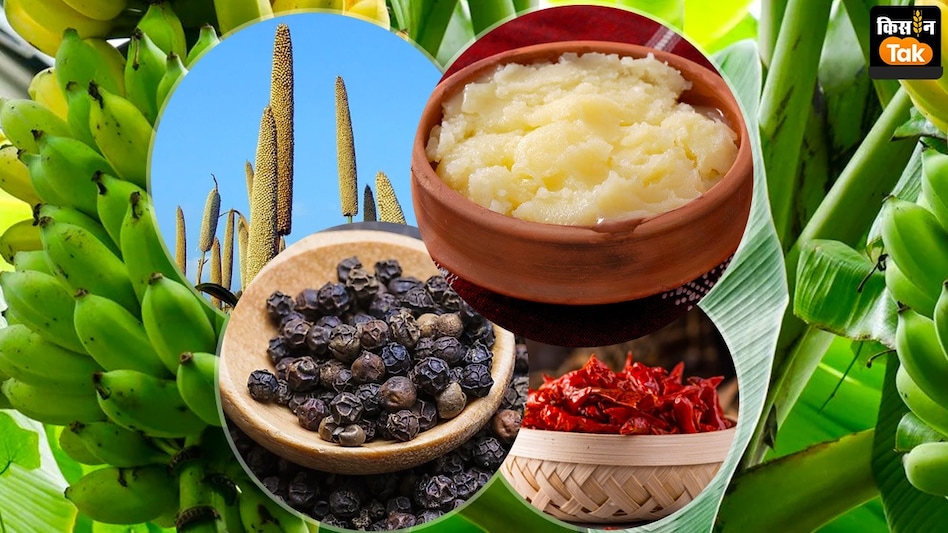 जीरा, केला, देसी घी और अंडा के दाम को लेकर केंद्र सरकार का बड़ा फैसला  जीरा, केला, देसी घी और अंडा के दाम को लेकर केंद्र सरकार का बड़ा फैसला