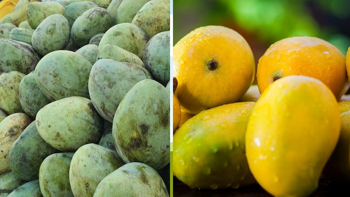 लखनऊ के बाजारों में छाया लंगड़ा और चौसा आम (Photo-Kisan Tak)