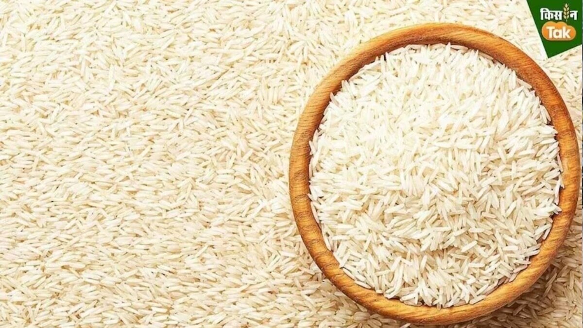 सरकार के पास कितना है चावल का स्टॉक.