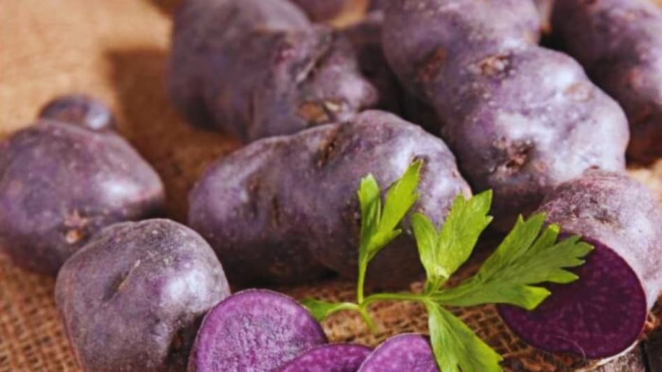Agri Quiz: जामुन के रंग का होता है ये आलू, 90 दिनों में हो जाता है तैयार Agri Quiz: जामुन के रंग का होता है ये आलू, 90 दिनों में हो जाता है तैयार