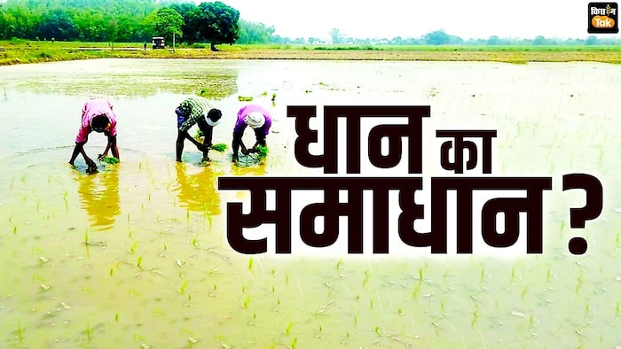 धान की खेती ने पंजाब में बढ़ाया जल संकट.