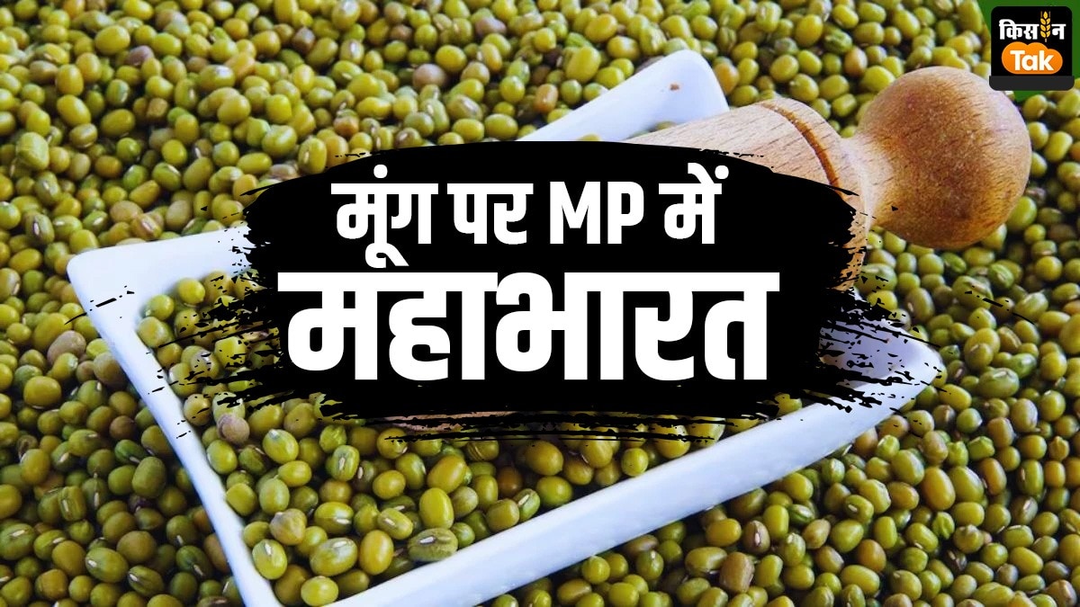मध्य प्रदेश में मूंग खरीद को लेकर सड़क से लेकर संसद तक संग्राम