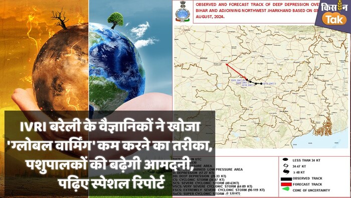 मीथेन उत्सर्जन में पशुओं की हिस्सेदारी 16 फीसदी