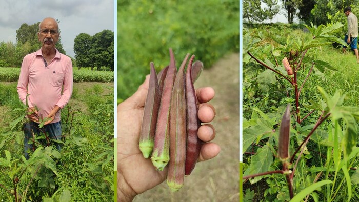 सहारनपुर के मेरवानी में रहने वाले 69 साल के प्रगतिशिल किसान आदित्य त्यागी (Photo-Kisan Tak)
