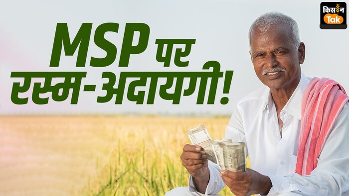 हरियाणा में MSP पर फसल खरीद का ऐलान, क्या मायने