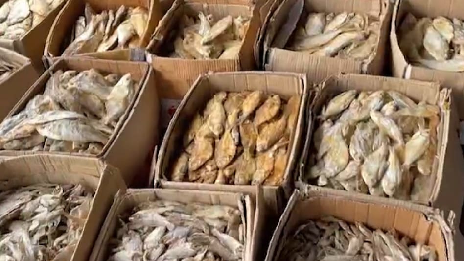 Dry Fish: अब बरसात के मौसम में ऐसे सुखाई मछली तो बढ़ेगा मुनाफा, पढ़ें डिटेल Dry Fish: अब बरसात के मौसम में ऐसे सुखाई मछली तो बढ़ेगा मुनाफा, पढ़ें डिटेल