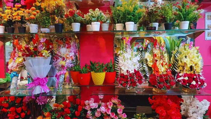 किस फूल की किस्म है Punjab Dawn