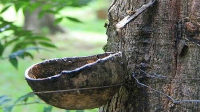 प्राकृतिक रबर की मांग बढ़ने का अनुमान है.