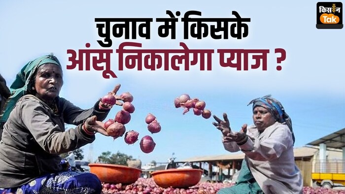 बीजेपी के रास्ते में बाधा खड़ी कर सकते हैं प्याज किसान.