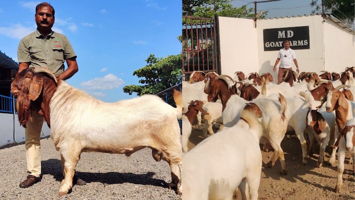 इंजीनियर से बने बकरी पालक लक्ष्मण टिकोले ,( फोटो : किसान तक)