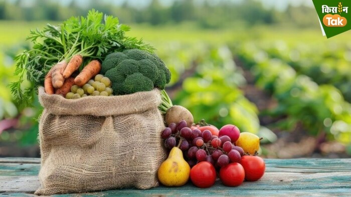 एपीडा ताजा सब्जियों और फलों के निर्यात के लिए प्रमुख निकाय है.