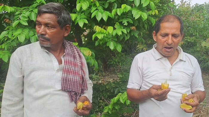 स्टार फ्रूट दिखाते हुए किसान भूषण कुमार