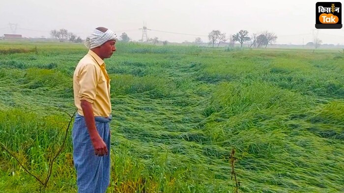 चंदौली में बाढ़ में डूबी किसानों की फसल (सांकेतिक तस्वीर)