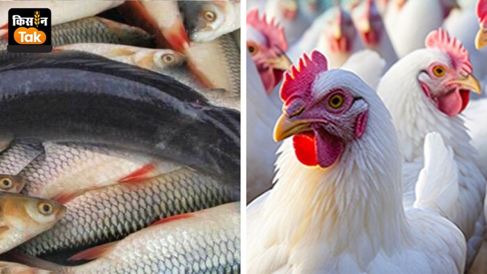 इस प्लांट के शुरू होने के बाद वाराणसी नगर निगम की आय भी बढ़ेगी. (Photo-Kisan Tak)