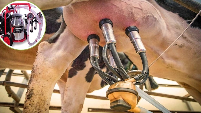 milking machines