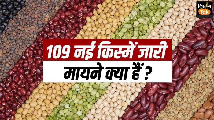 PM मोदी ने फसलों की 109 नई किस्में जारी की हैं, इसके मायने क्या हैं