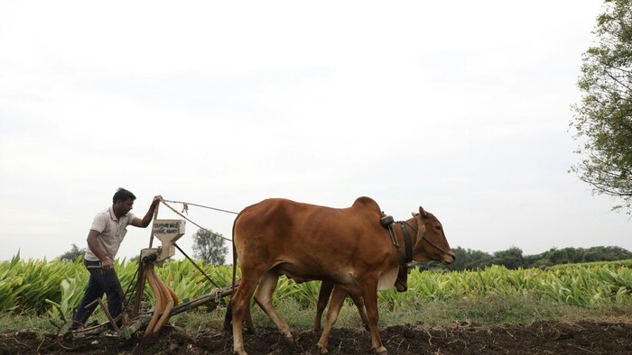 राजस्थान में किसानों का प्रदर्शन